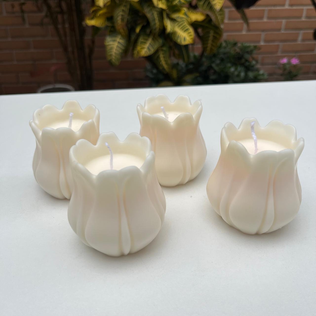 Tulipán