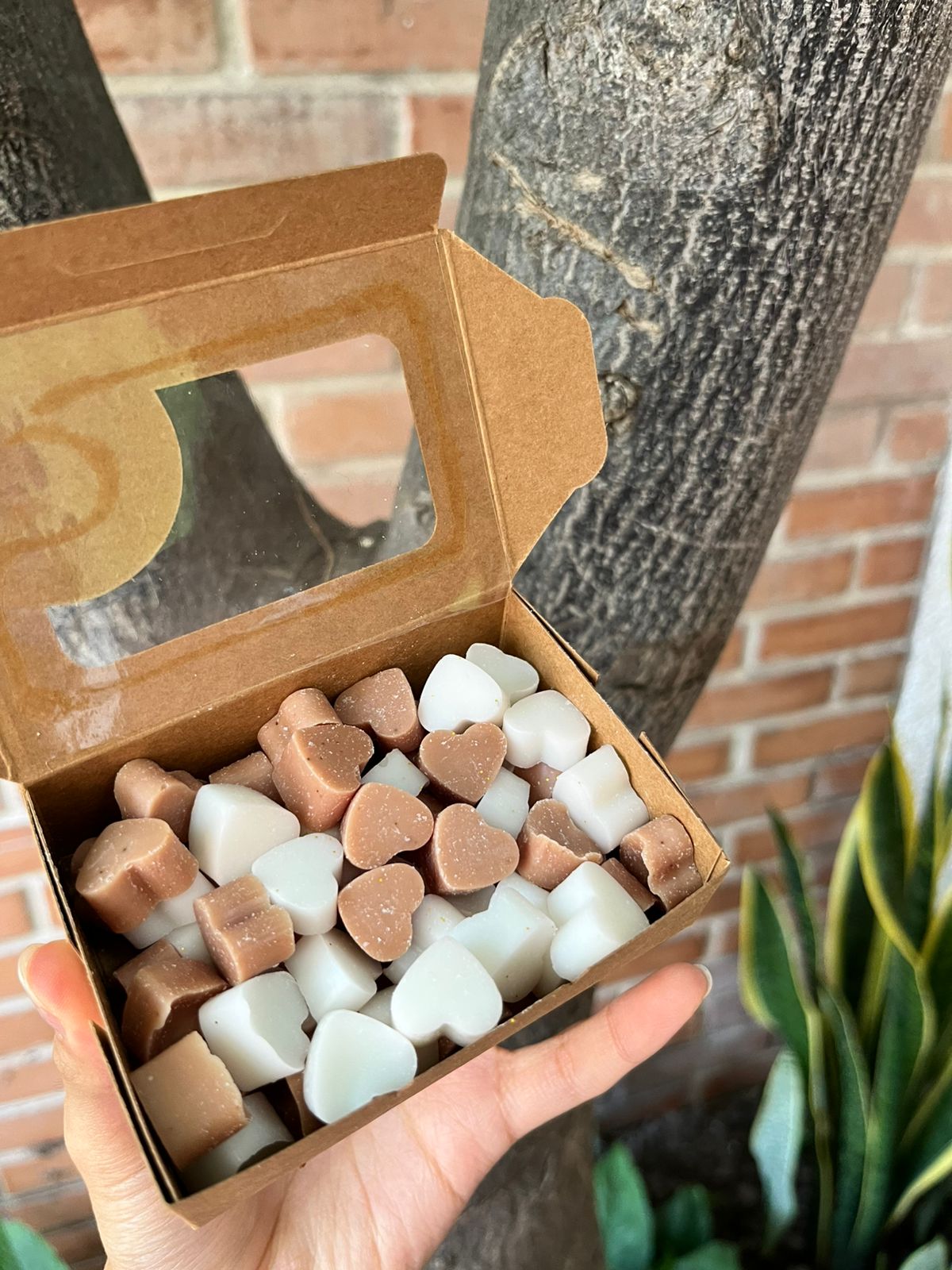 Wax melt Capuchino vista 2